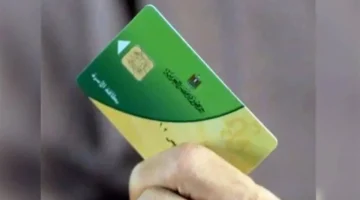 تغيير أساسي.. إضافة المواليد على بطاقات التموين في 2026